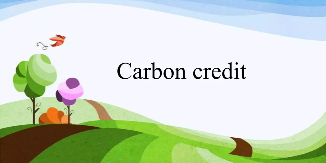 Carbon Credits for Small Business: A Practical Guide