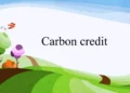 Carbon Credits for Small Business: A Practical Guide