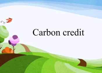 Carbon Credits for Small Business: A Practical Guide