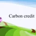 Carbon Credits for Small Business: A Practical Guide