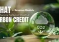 Blue Carbon: Mangroves, Seagrass and Ocean Credits