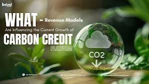 Blue Carbon: Mangroves, Seagrass and Ocean Credits