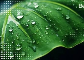 Soil Carbon Credits: Can Farming Sequester CO2?
