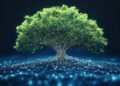 Carbon Credit Additionality: The Test That Decides Everything