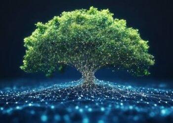 Carbon Credit Additionality: The Test That Decides Everything