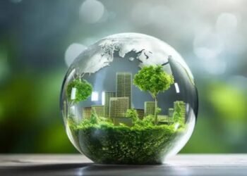 What Is REDD+? Avoided Deforestation Credits Explained