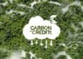 How Do Carbon Credits Work? The 5-Step Lifecycle