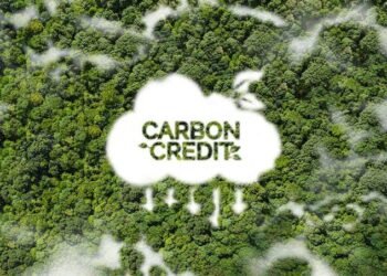 How Do Carbon Credits Work? The 5-Step Lifecycle