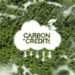 How Do Carbon Credits Work? The 5-Step Lifecycle
