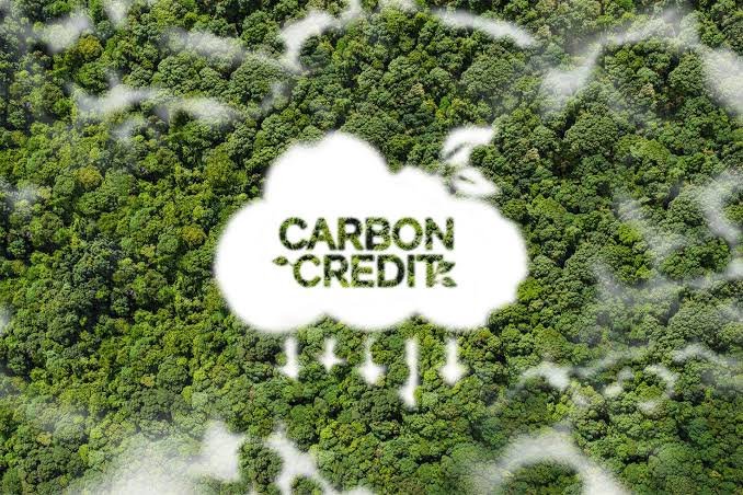 How Do Carbon Credits Work? The 5-Step Lifecycle