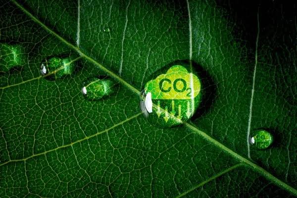 Compliance Carbon Markets Explained: ETS & Cap-and-Trade
