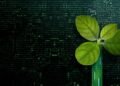 25 Carbon Market Terms Everyone Should Know