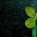 25 Carbon Market Terms Everyone Should Know