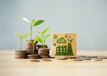 How to Buy Carbon Credits in 2026: Step-by-Step