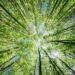 Best Carbon Offset Programs in 2026: How to Choose