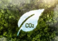 Carbon Credits vs Carbon Offsets: The Real Difference