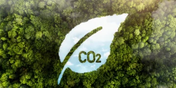 Carbon Credits vs Carbon Offsets: The Real Difference