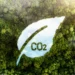 Carbon Credits vs Carbon Offsets: The Real Difference
